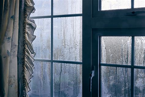 5 Window Condensation Solutions - New Home Connection