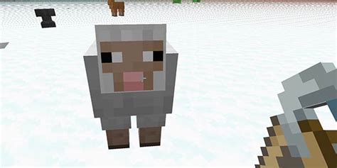 How to make a rainbow sheep? (jeb_ name tag) | NiceMarkMC Minecraft