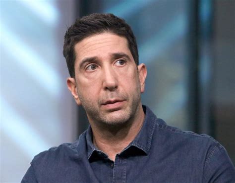 David Schwimmer Nose Job - Before And After Photos