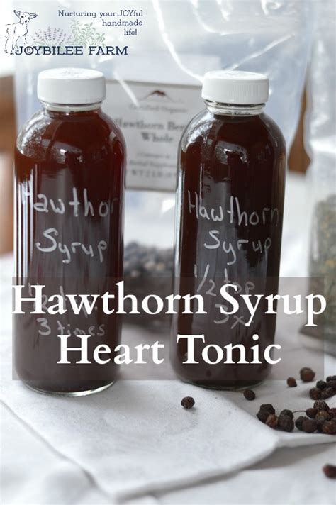 How to Make the Most Effective Hawthorn Berry Syrup Heart Tonic ...