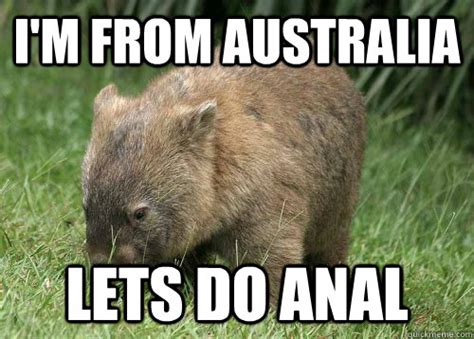 Rude Wombat memes | quickmeme