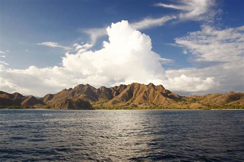 Bitten by Success: Conflicts Over Tourism Revenue and Natural Resources at Komodo National Park ...