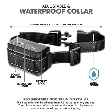 Rechargeable Dog Training Collar With Remote - Poodlepet