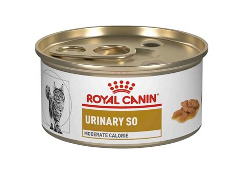 Royal Canin Veterinary Diet Adult Urinary SO Morsels in Gravy Canned ...