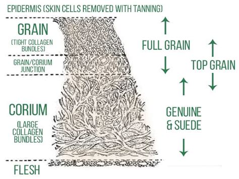 Leather 101: The Different Types of Leather - BestLeather.org