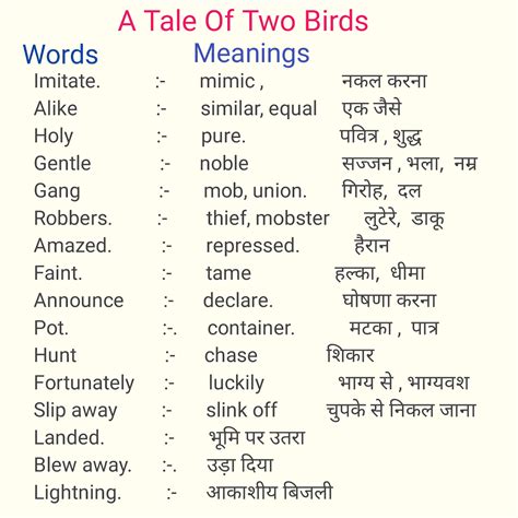 Class 6 english chapter 1 question answer a tale of two birds