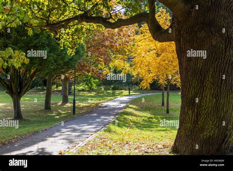 A path in a park in autumn Stock Photo - Alamy