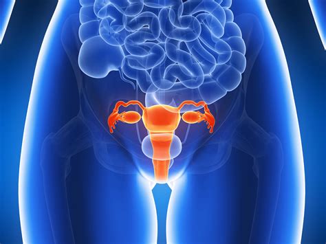 Ovarian Disorders | Ovarian Cancer | MedlinePlus