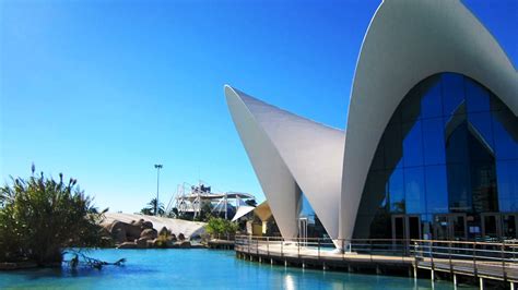 Valencia Aquarium | Valencia aquarium, Spain tourism, Cool watches