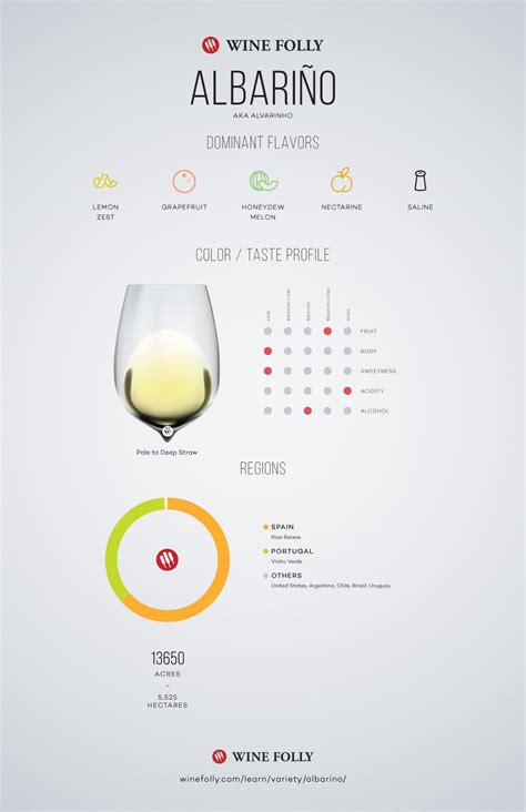 The Comprehensive Guide to Albariño (Alvarinho) | Wine Folly