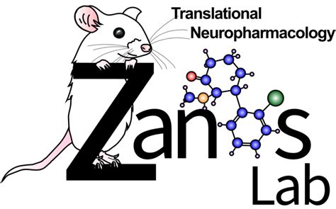 The Zanos Lab was awarded €200,000 grant to study Hydroxynorketamine’s antidepressant cellular ...