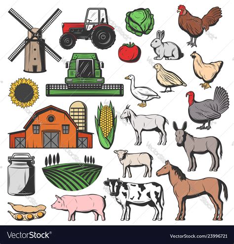 Cattle farm animals and agriculture harvesting Vector Image