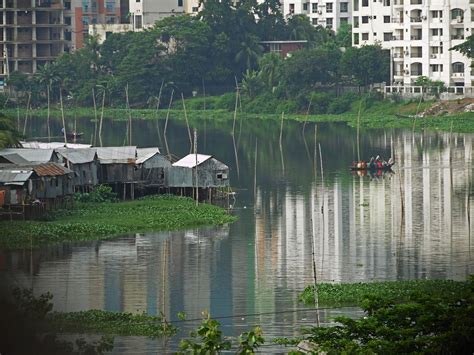 Banani Lake, Dhaka, Bangladesh | Dhaka, Bangladesh, Lake