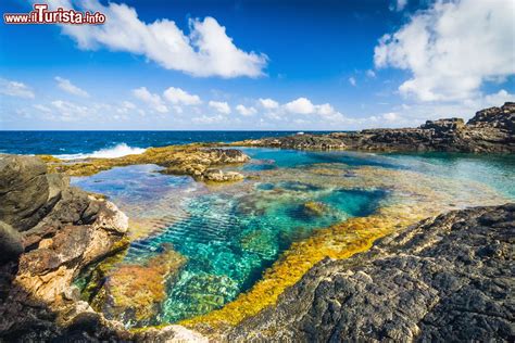 Piscine naturali sulla costa di Lanzarote, la ... | Foto Canarie