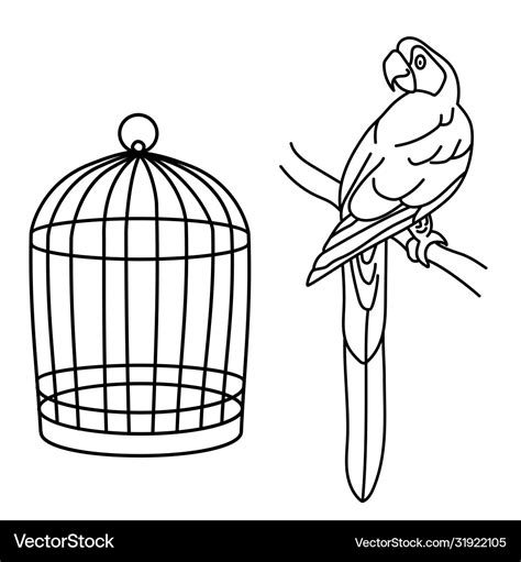 Parrot Drawing Outline