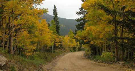 Top 10 Fall Hikes Near Denver with Aspens - Day Hikes Near Denver