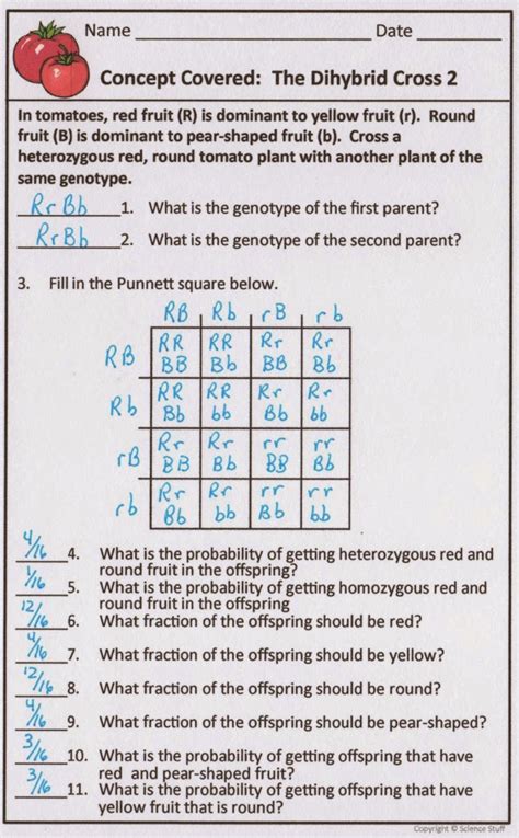 Amy Brown Science: Genetics Problems and Activities for Biology Interactive Notebooks, Warm Ups ...