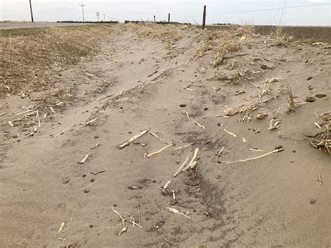 Using Emergency Tillage to Control Wind Erosion | CropWatch ...