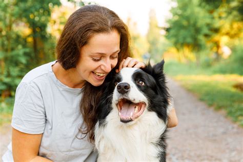 Why Do Animals Like Being Petted?