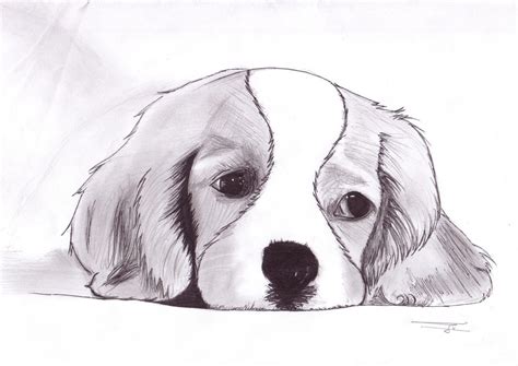 15 Terrific Dessin A Dessiner Stock en 2020 | Dessin chien facile ...