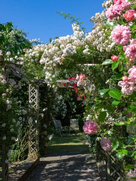 Usk Open Gardens - Usk | NGS Gardens