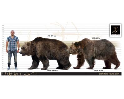 Cave bear and Сave lion image buy Uchytel