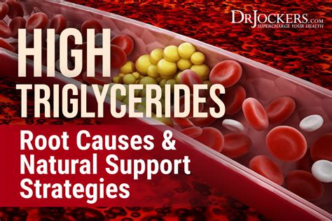 Triglycerides And Cholesterol Results