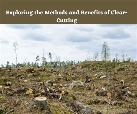 Exploring the Methods and Benefits of Clear-Cutting