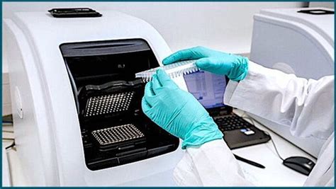 Scientists find most PCR test results do not indicate infectious virus, question test's status ...