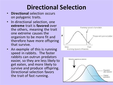 Directional Selection Graph