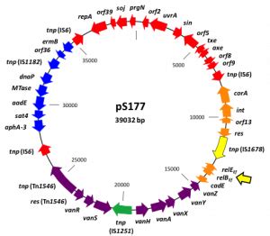 Activation of Toxin-Antitoxin Systems – Hergenrother Lab