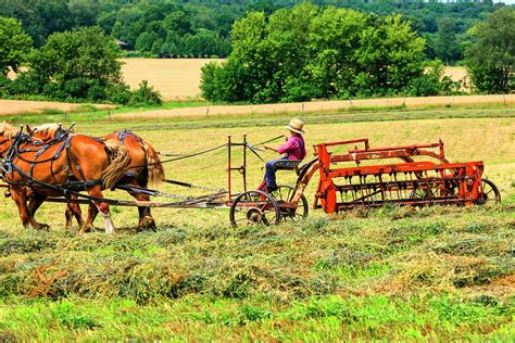 Amish Farming Methods