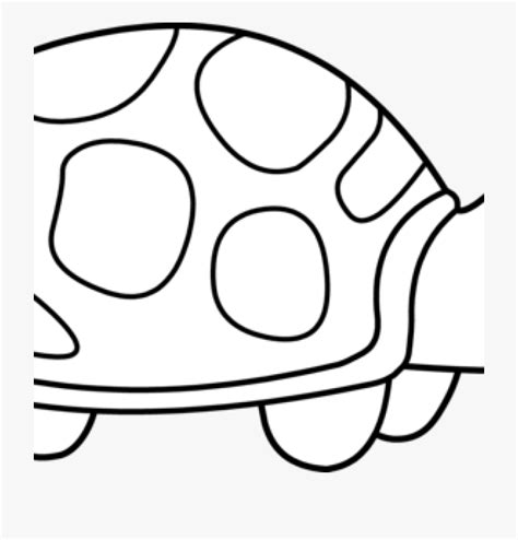 turtle clip art outline 10 free Cliparts | Download images on ...