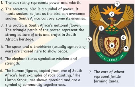 National Coat Of Arms Symbols | South Africa | Information