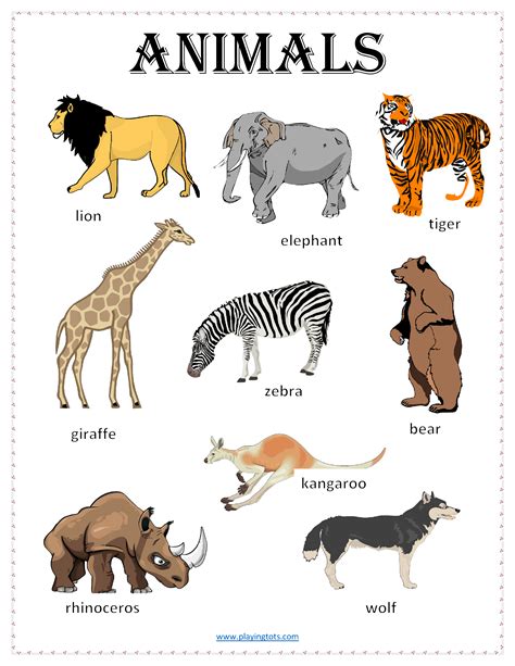 wild animals chart animals wild animals and their homes zoo animals ...