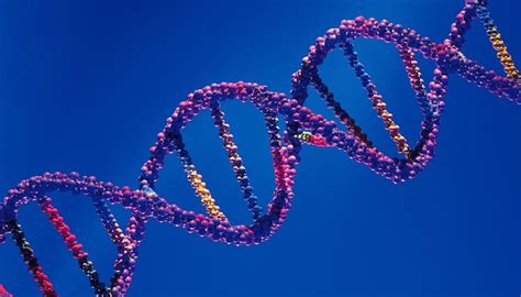 What Are Some Characteristics of DNA? | Sciencing