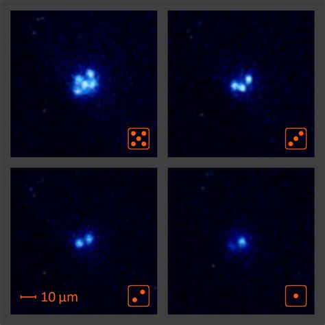 experimental physics - Which is the smallest known particle that ...