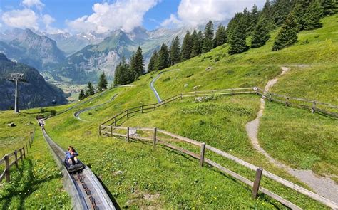 11 Best Mountain Coasters In Switzerland