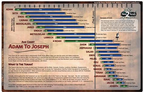 Adam to Joseph ~ Age Chart | Bible timeline, Bible study scripture, Bible genealogy