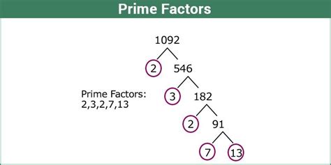 Prime Factorisation Determining the Prime Factors with Solved Example