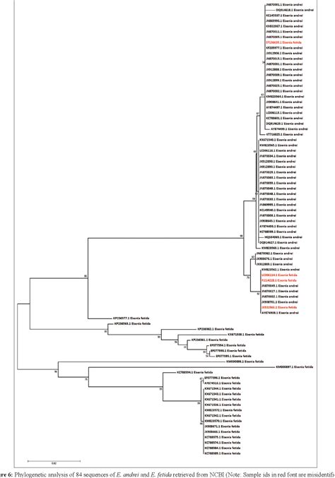 Figure 6 from Eisenia fetida and Eisenia andrei delimitation by Automated Barcode Gap Discovery ...