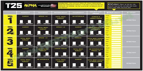 Download Focus T25 Workout Schedule PDF