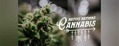 Native Nations Cannabis Dispensary | Dispensary Menu, Reviews & Photos