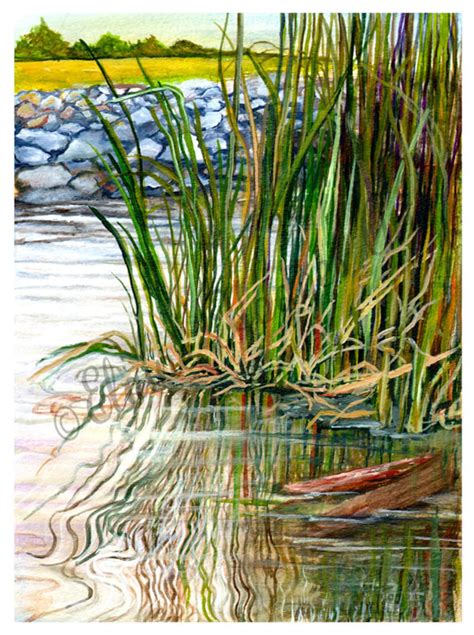 Louisiana Bayou Reflections Art Print From Original Artwork - Etsy