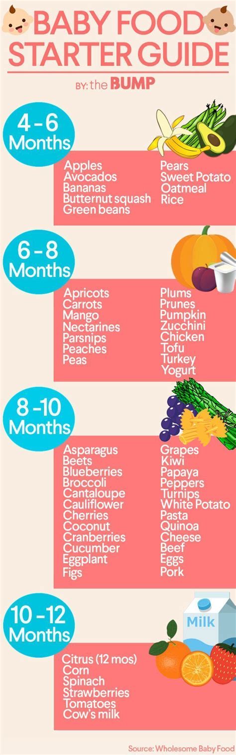 Is Baby Ready for Solid Food? Here’s How to Tell Baby food starter guide 4-6 m | Baby solid food ...