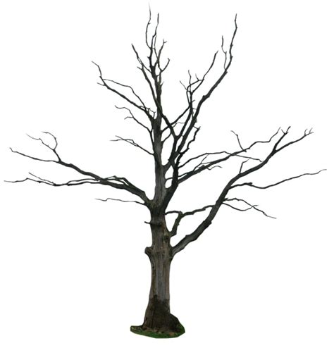 Tree Transparent PNG | PNG All