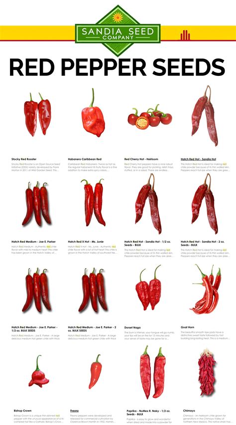 Red Pepper Seeds – Sandia Seed Company