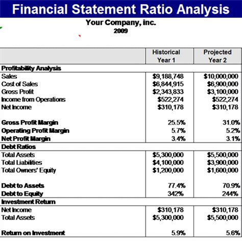 17+ Financial Ratio Analysis Template | DocTemplates