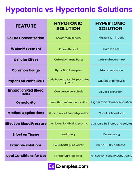 Hypotonic vs. Hypertonic: What's the Difference? With Examples