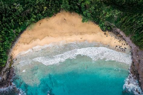 The Best Beaches in Lahaina: A Guide to Your Perfect Hawaiian Vacation